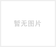 室内外模拟防爆高速球机RFD50D